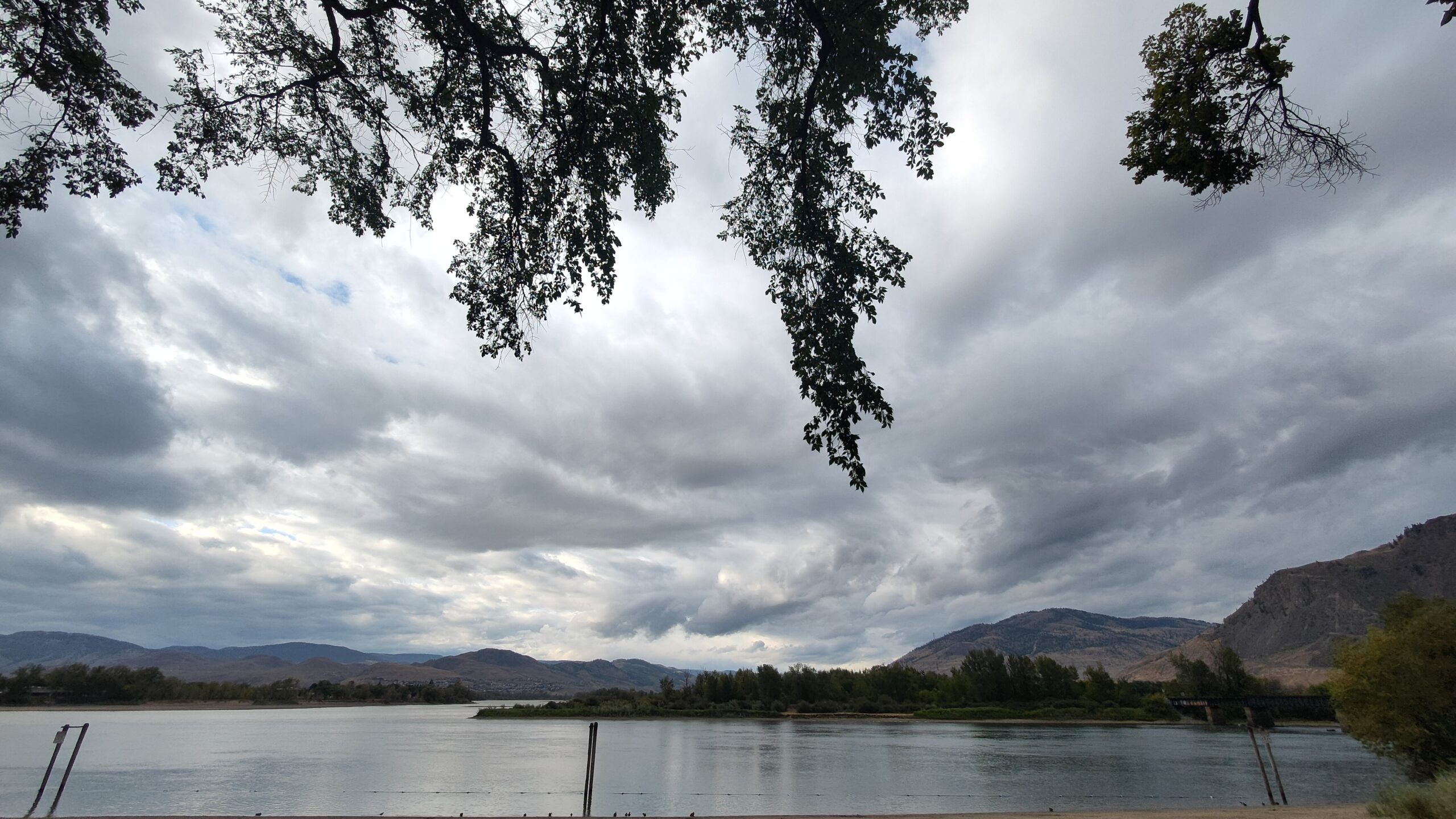The South Thompson River at Kamloops framed by overhanging cottonwood branches silhouetted against a dramatic overcast sky. The river stretches back toward the hills of the Interior. A metal dock and sandy bank are visible at the water's edge.