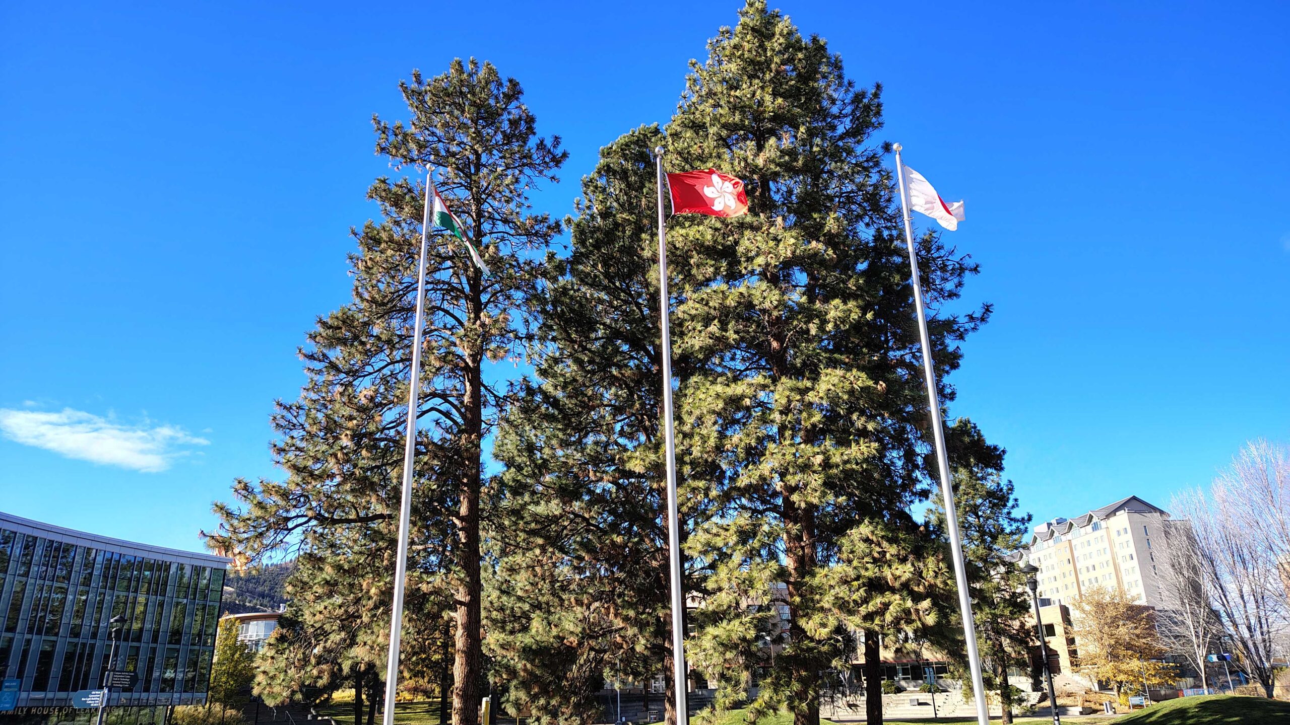 Three international flags flying on tall flagpoles at Thompson Rivers University against a vivid blue autumn sky, with tall pine trees behind them and the Brown Family House of Learning visible at left. The flags of India, Hong Kong, and Japan are visible.